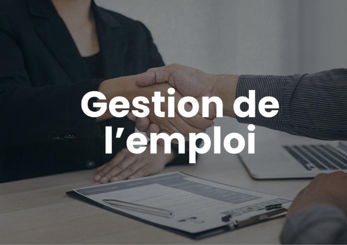 Gestion de l'emploi